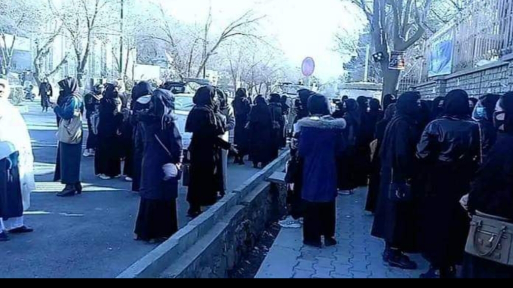 طالبان: طالبان: