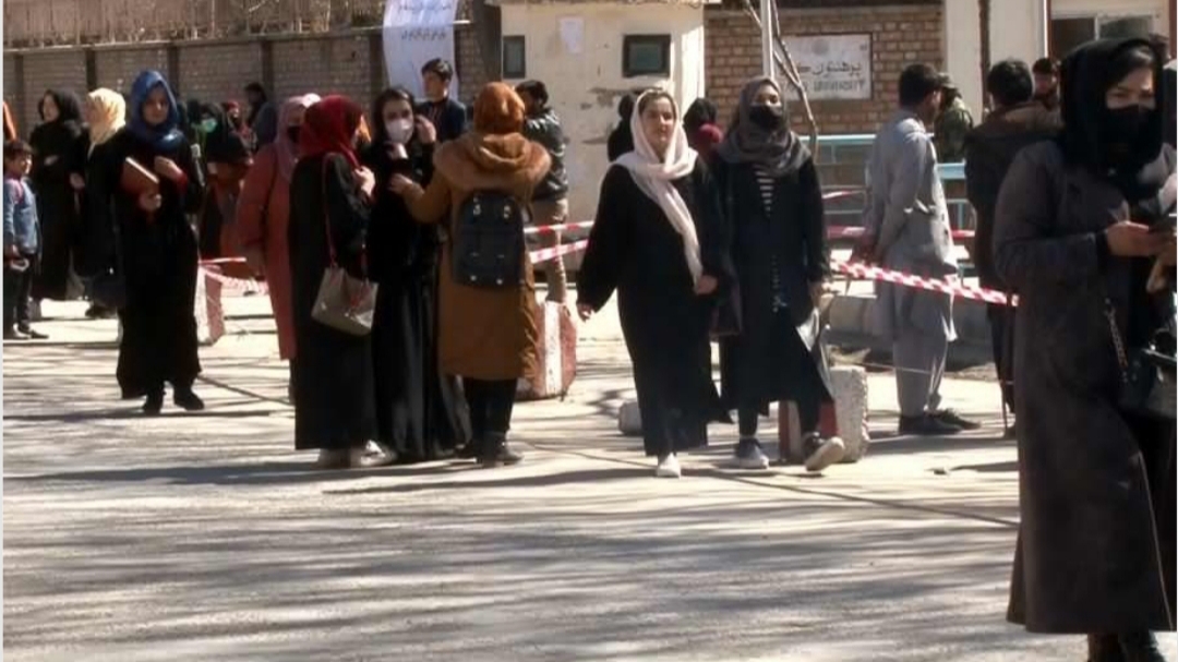 استاد دانشگاه، در اعتراض به ممنوعیت زنان از دانشگاه، اسناد تحصیلی خود را پاره کرد؛ استاد دانشگاه، در اعتراض به ممنوعیت زنان از دانشگاه، اسناد تحصیلی خود را پاره کرد؛