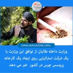 طالبان: با شرکت استرالیایی بر سر ایجاد کارخانه چرس به توافق رسیده‌ایم